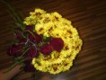 /album/kytice/dsc01050-kopia-jpg/